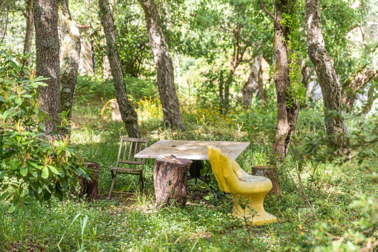 Quinta Biologica, Com Vista, Na Serra De سينترا المظهر الخارجي الصورة