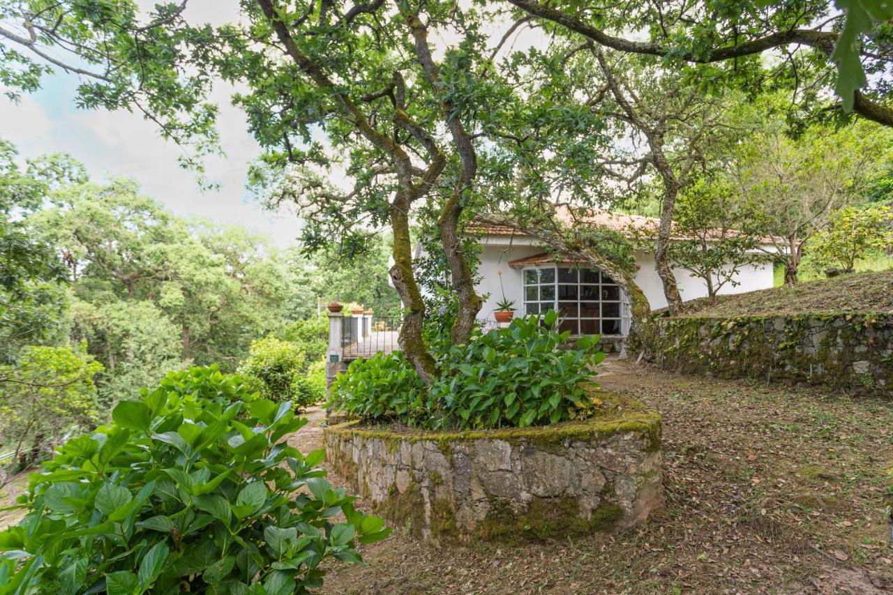 Quinta Biologica, Com Vista, Na Serra De سينترا المظهر الخارجي الصورة