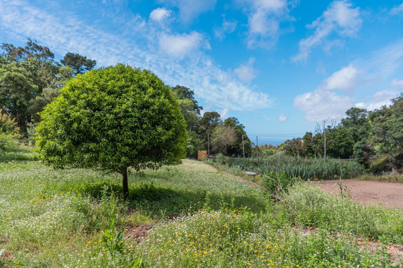 Quinta Biologica, Com Vista, Na Serra De سينترا المظهر الخارجي الصورة