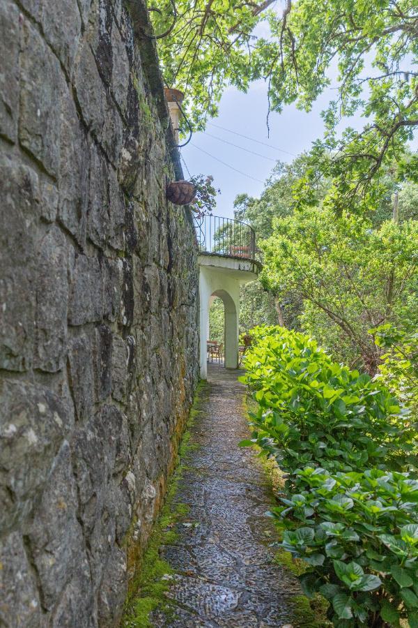 Quinta Biologica, Com Vista, Na Serra De سينترا المظهر الخارجي الصورة
